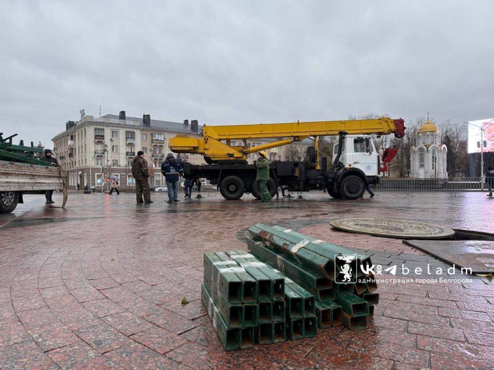 В Белгороде начали устанавливать новогоднюю ёлку