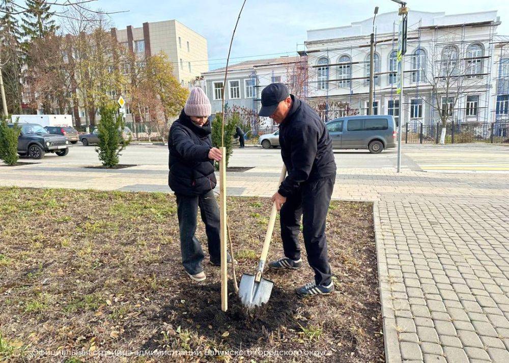 Сотрудники администрации Валуйского муниципального округа провели мероприятие по озеленению центрального парка города