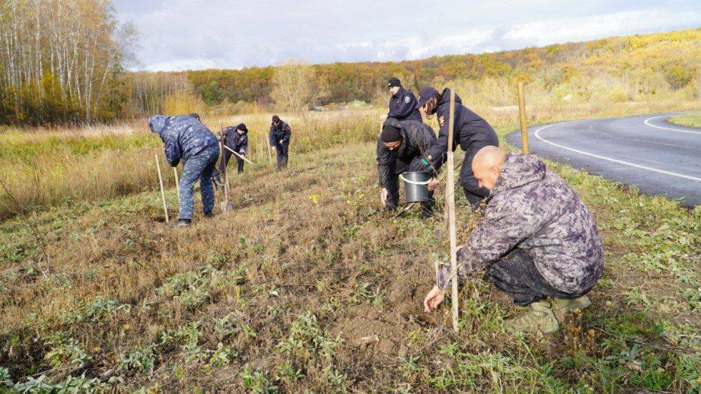 В год столетия службы участковых инспекторов на велолыжероллерной трассе была высажена берёзовая аллея