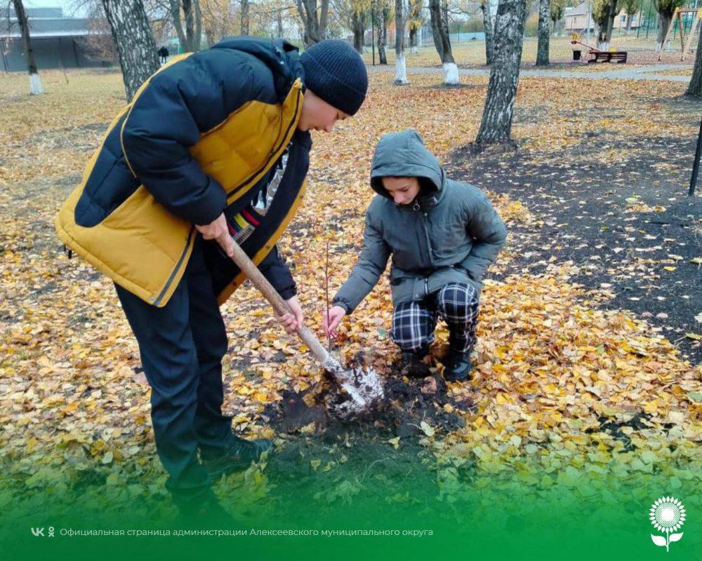 В средней общеобразовательной школе №4 состоялась патриотическая акция, посвященная закладке Школьного парка памяти в честь 80-летия Победы