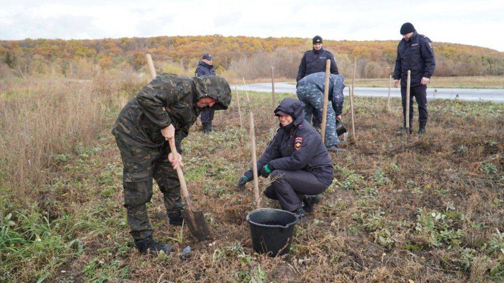 В год столетия службы участковых инспекторов на велолыжероллерной трассе была высажена берёзовая аллея