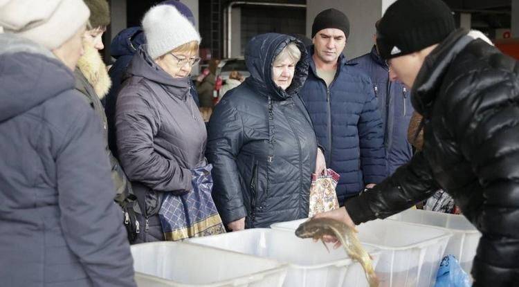 На сельскохозяйственной ярмарке в Белгороде продали более 13 тонн продуктов