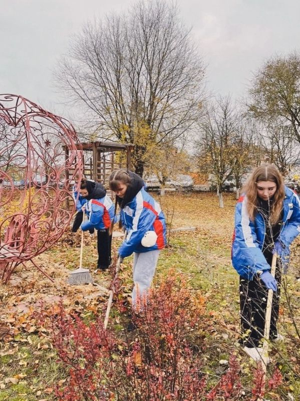 В Белгородской области прошла добровольческая патриотическая акция «Снежный десант БелСО»