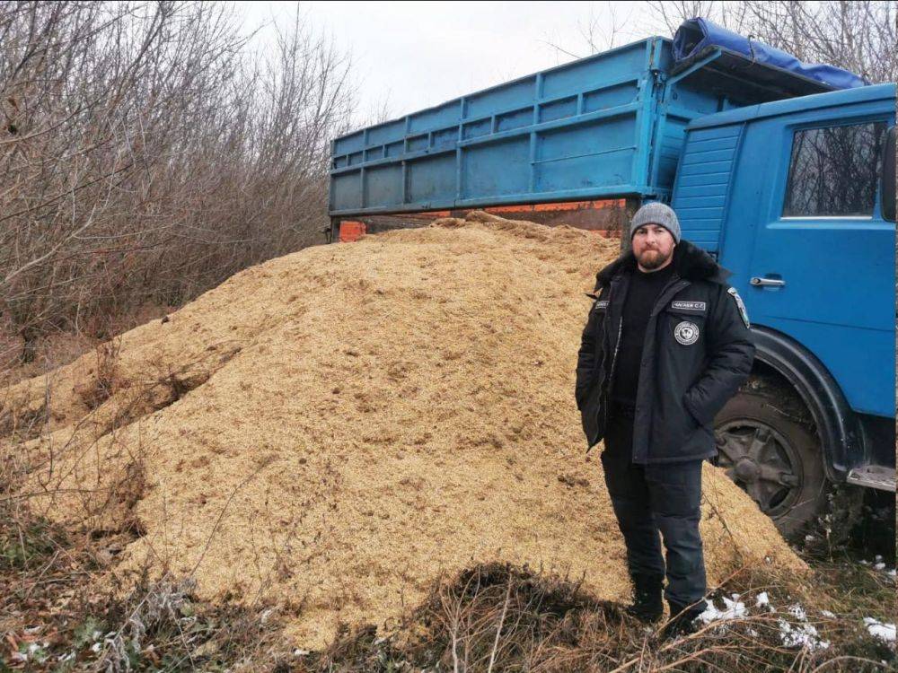 В белгородских заказниках и охотничьих угодьях начали подкармливать диких животных