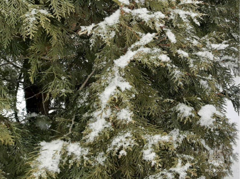 В выходные дни температура воздуха днём достигнет до 6° тепла