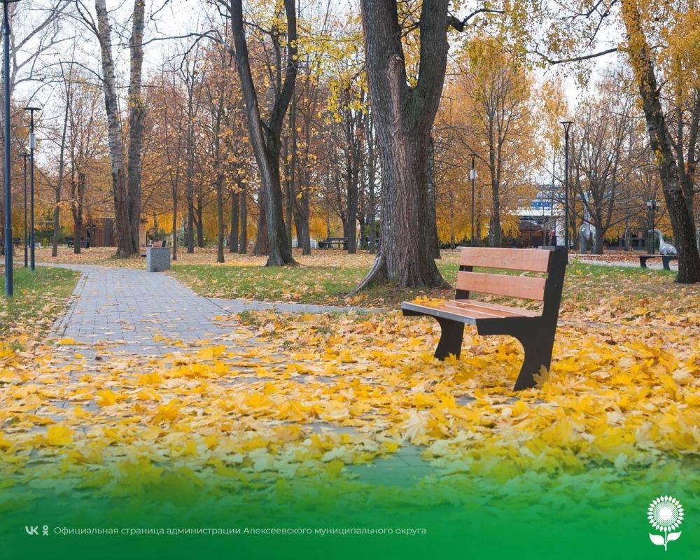 1 ноября. Температура воздуха 11°C, облачно, небольшой дождь