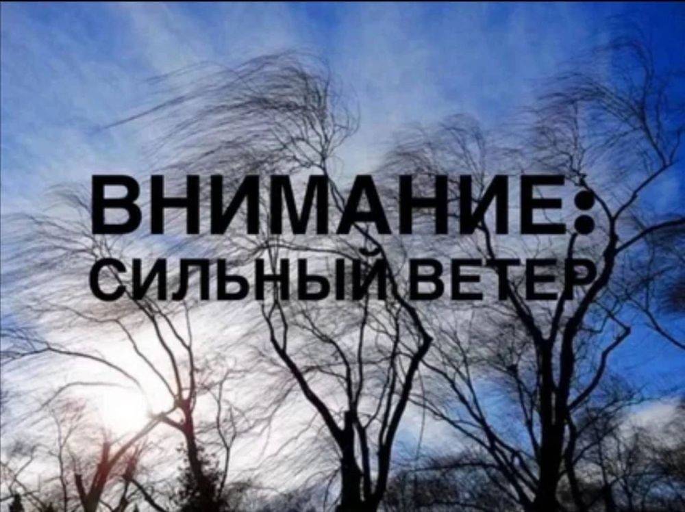 Татьяна Киричкова: Уважаемые ровенчане!. В связи с неблагоприятными погодными условиями (порывы ветра до 25 м/с) наблюдаются перебои с подачей электроэнергии в с. Лозовое, с. Харьковское, с. Барсучье