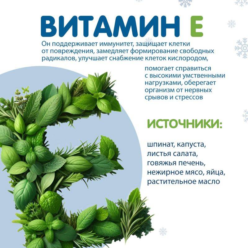 С приходом холодов наш организм нуждается в дополнительной поддержке, особенно в витаминах, чтобы укрепить иммунитет и сохранить здоровье