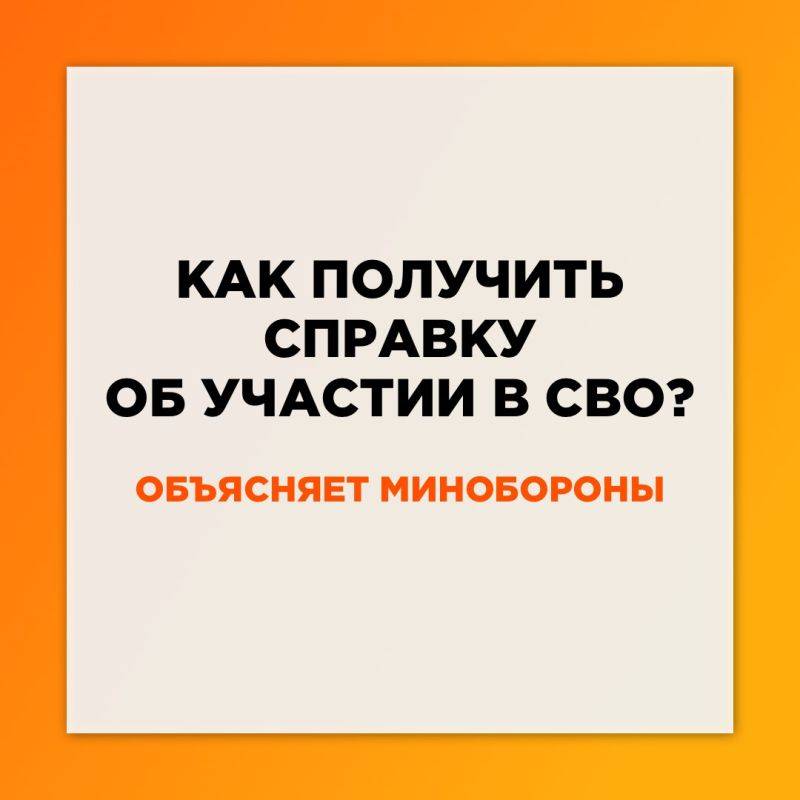 Светлана Халеева: C 1 ноября в России введена система бездокументационного подтверждения статуса участника специальной военной операции