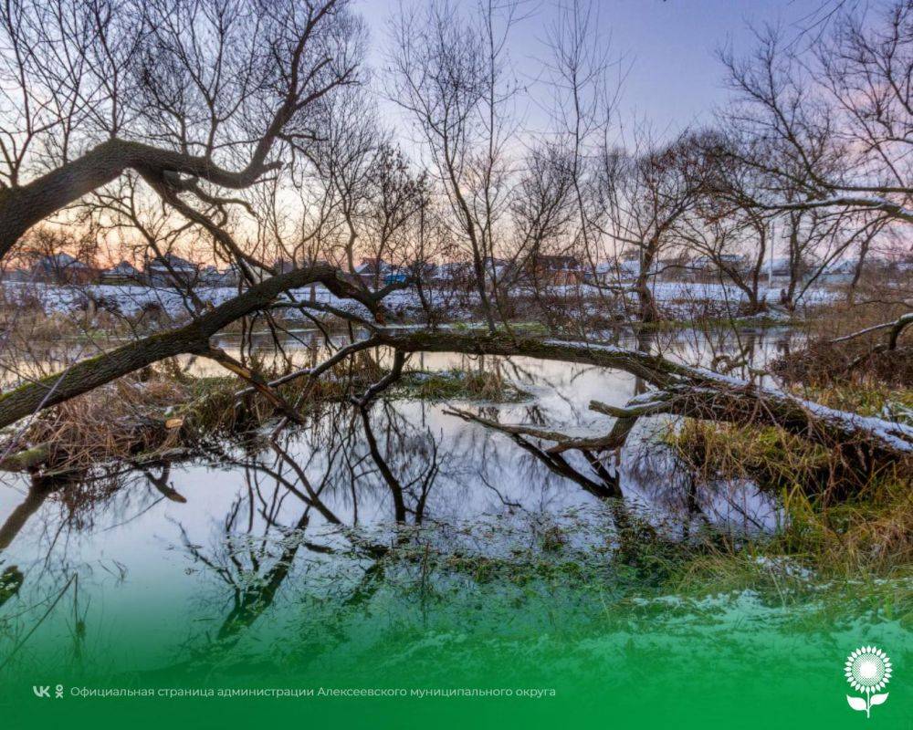 6 ноября. Температура воздуха -1°C, малооблачно, небольшой снег