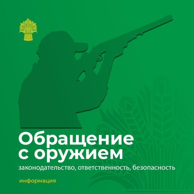 Согласно постановлению Правительства Белгородской области от 20 августа 2018 года № -312пп «Об утверждении положения о порядке выплаты вознаграждения гражданам за сдачу незаконно хранящегося оружия, боеприпасов, взрывчатых...