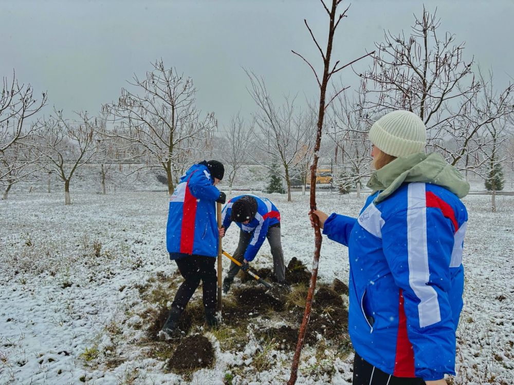 В Белгородской области прошла добровольческая патриотическая акция «Снежный десант БелСО»