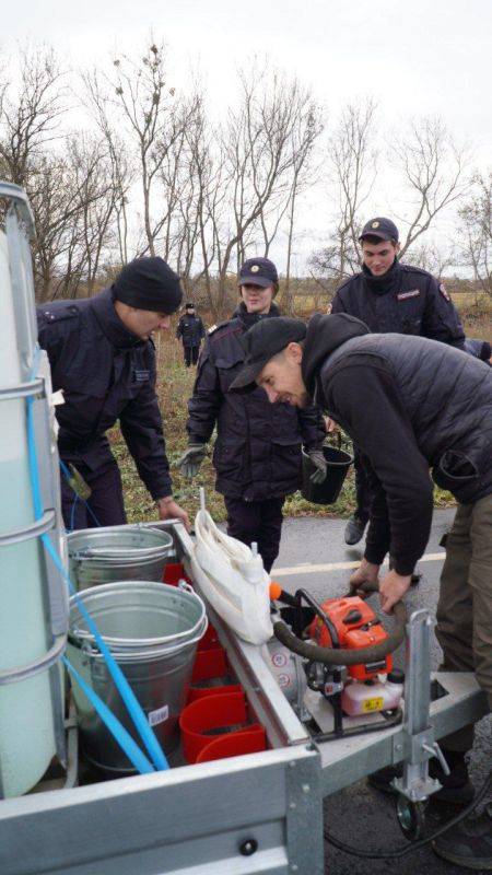 В год столетия службы участковых инспекторов на велолыжероллерной трассе была высажена берёзовая аллея