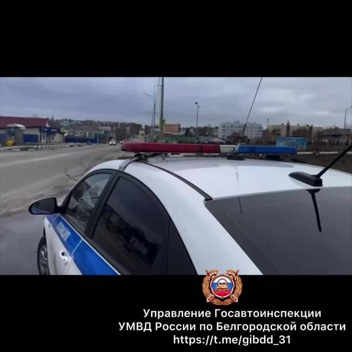 Сегодня цветы, поздравления и слова благодарности от наших автоинспекторов получили и белгородские автоледи