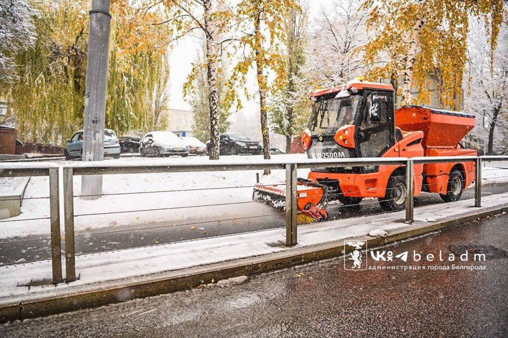 Пока белгородцы радуются первому снегу, коммунальщики вовсю расчищают тротуары и дороги