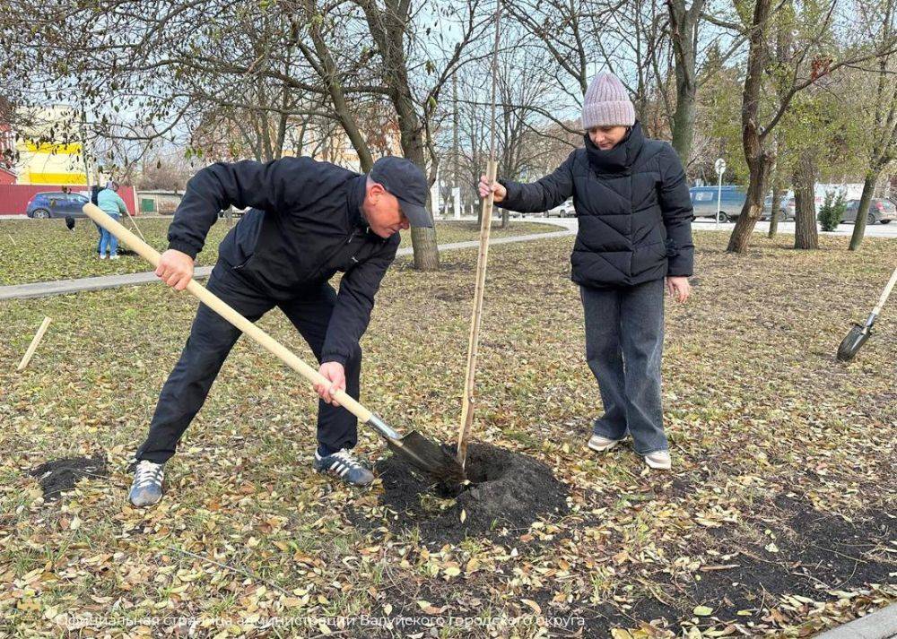 Сотрудники администрации Валуйского муниципального округа провели мероприятие по озеленению центрального парка города