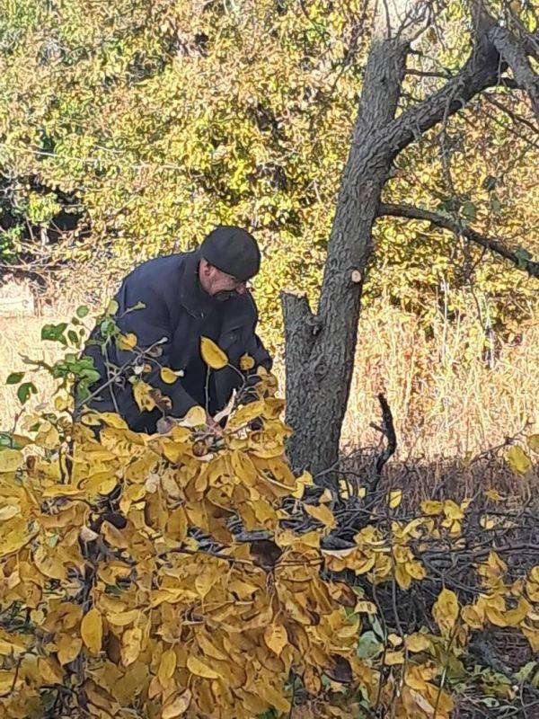 Капитальный ремонт Ровновской основной школы - одного из объектов в рамках регионального проекта «Модернизация школьных систем образования в Белгородской области» близится к завершению