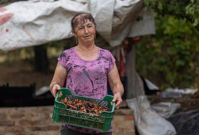 «Трижды мне присваивали звание «Лучший по профессии» в секторе агропромышленного комплекса, а портрет дважды заносили на районную Аллею Трудовой Славы