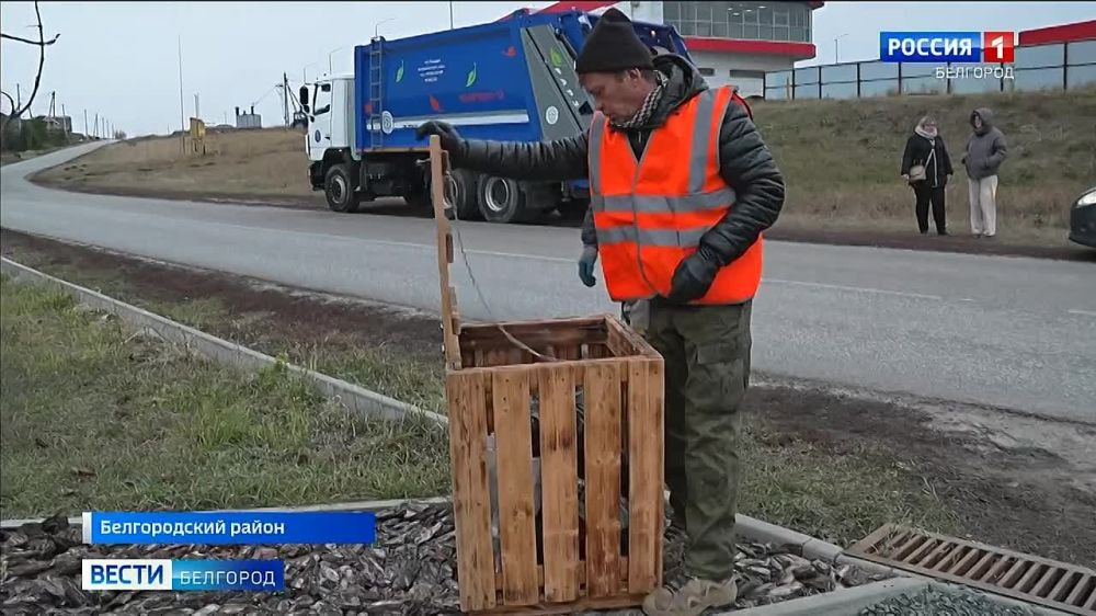 Коммунальные службы продолжают зачистку территорий от мусора