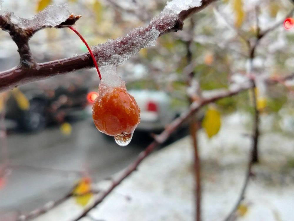 Доброе утро! Сегодня синоптики обещают преимущественно без осадков