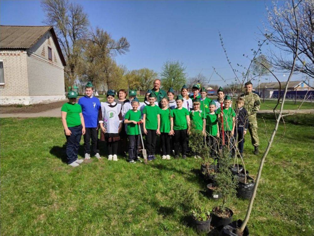 Школьные лесничества из Белгородской области вошли в список лучших в России