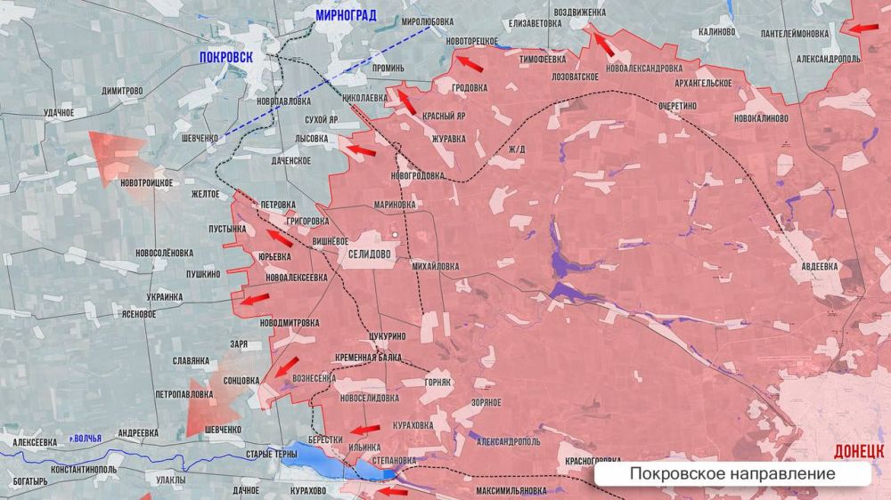 Олег Царёв: Фронтовая сводка. Фронтовая сводка 26 ноября