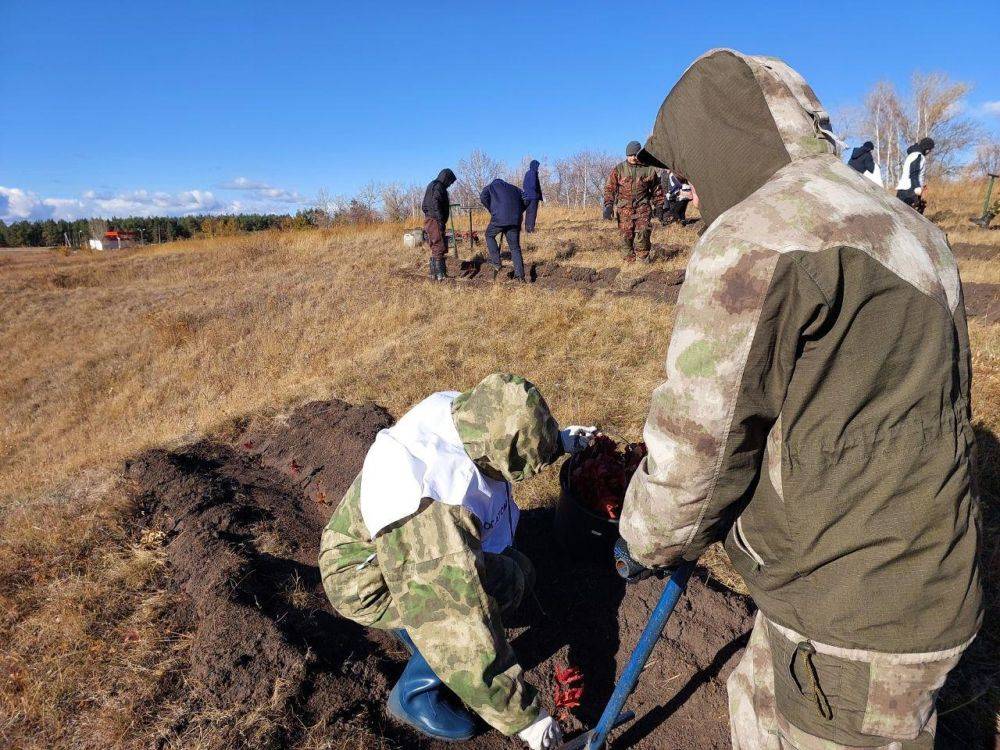 Всероссийская осенняя акция «Сохраним лес» на территории Корочанского района