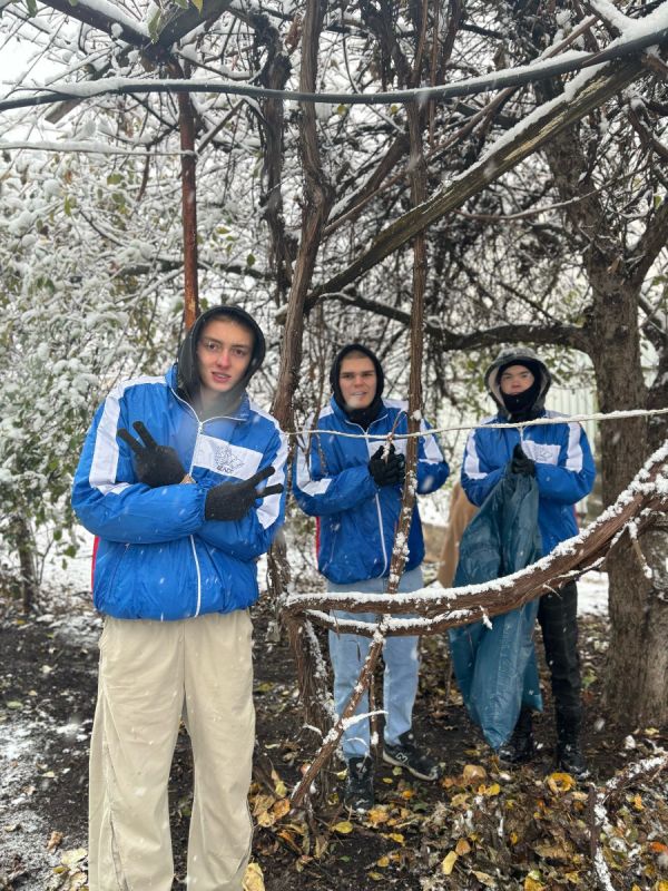 В Белгородской области прошла добровольческая патриотическая акция «Снежный десант БелСО»