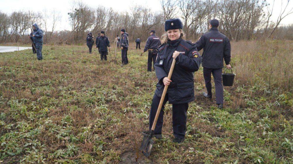 В год столетия службы участковых инспекторов на велолыжероллерной трассе была высажена берёзовая аллея