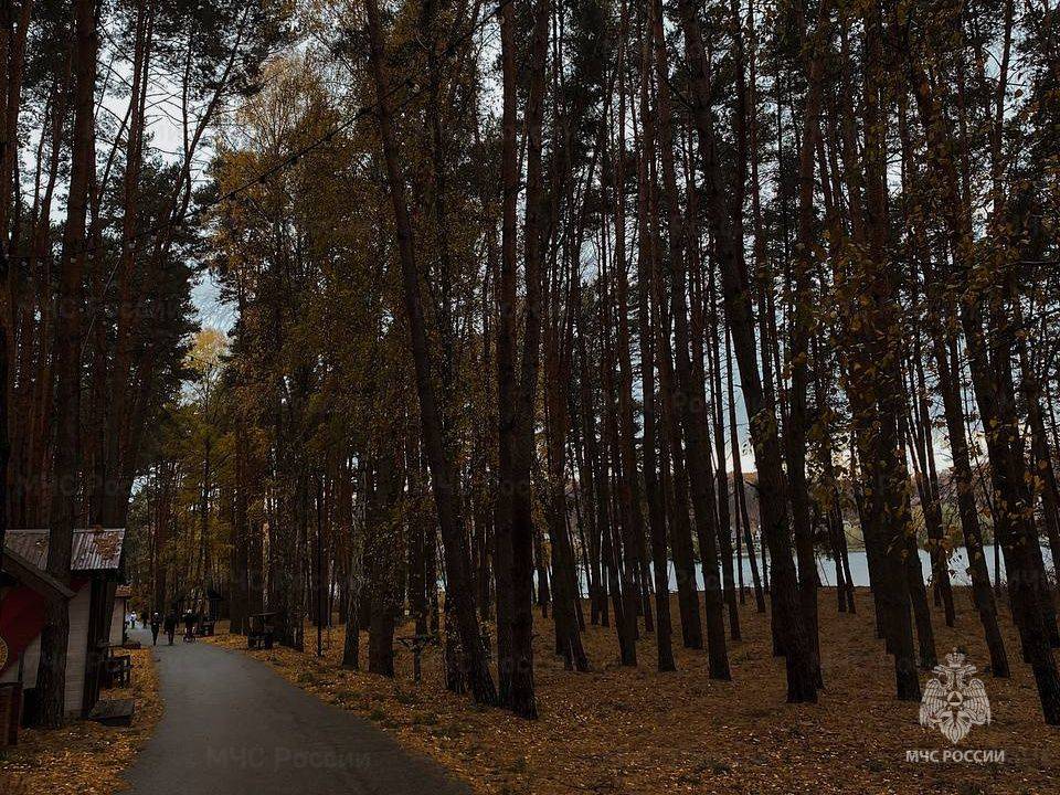 В пятницу в области без существенных осадков