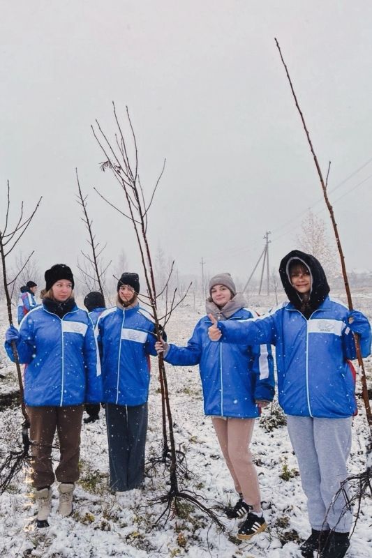 В Белгородской области прошла добровольческая патриотическая акция «Снежный десант БелСО»