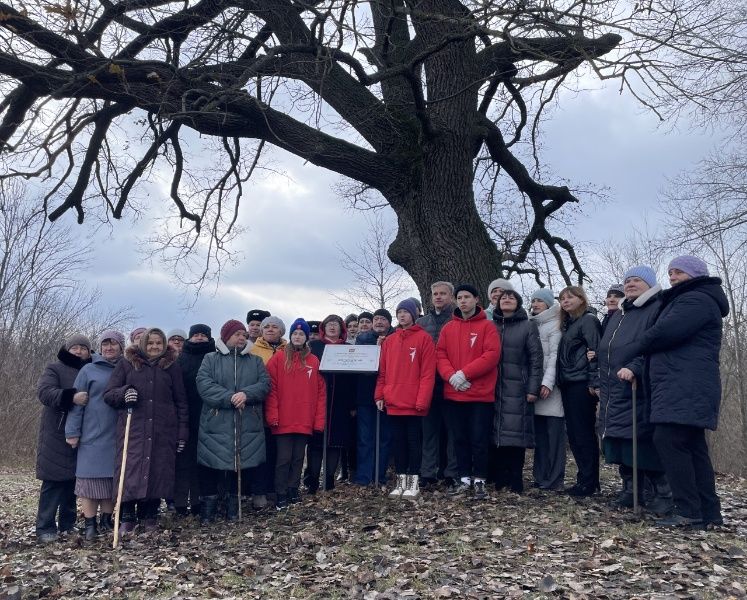 Дерево из Белгородской области вновь стало финалистом национального конкурса «Российское дерево года»