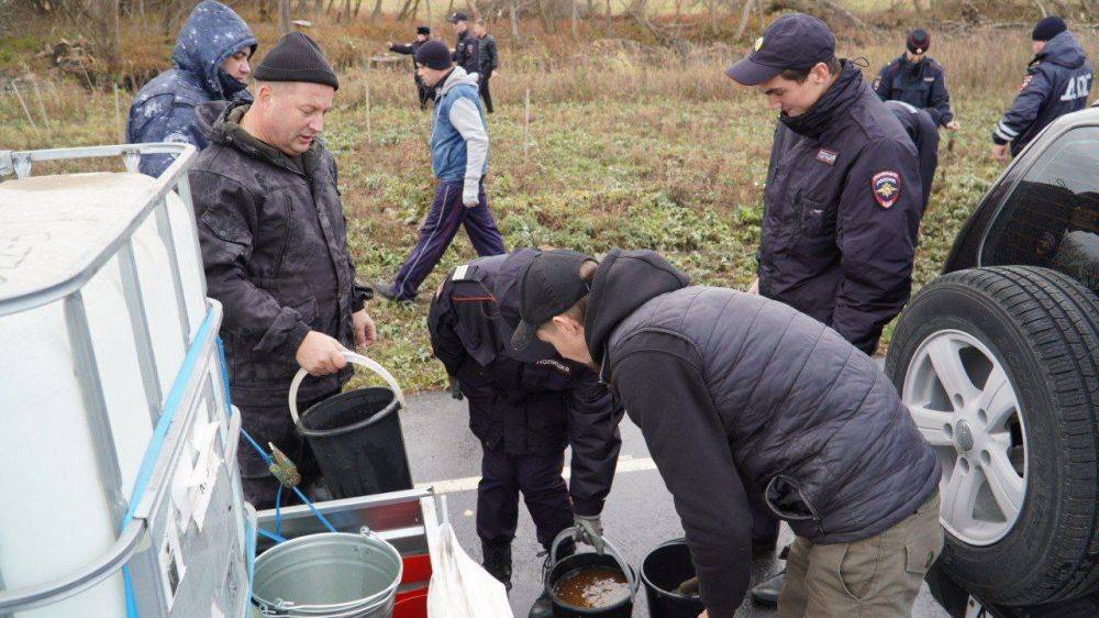 В год столетия службы участковых инспекторов на велолыжероллерной трассе была высажена берёзовая аллея