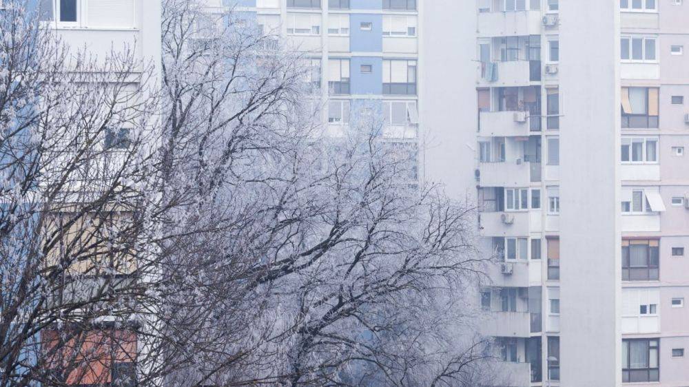 В Белгородскую область придут первые ночные заморозки