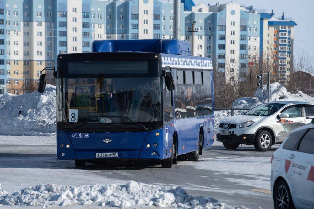 В ямальские автобусные рейсы внесли корректировки. Фото