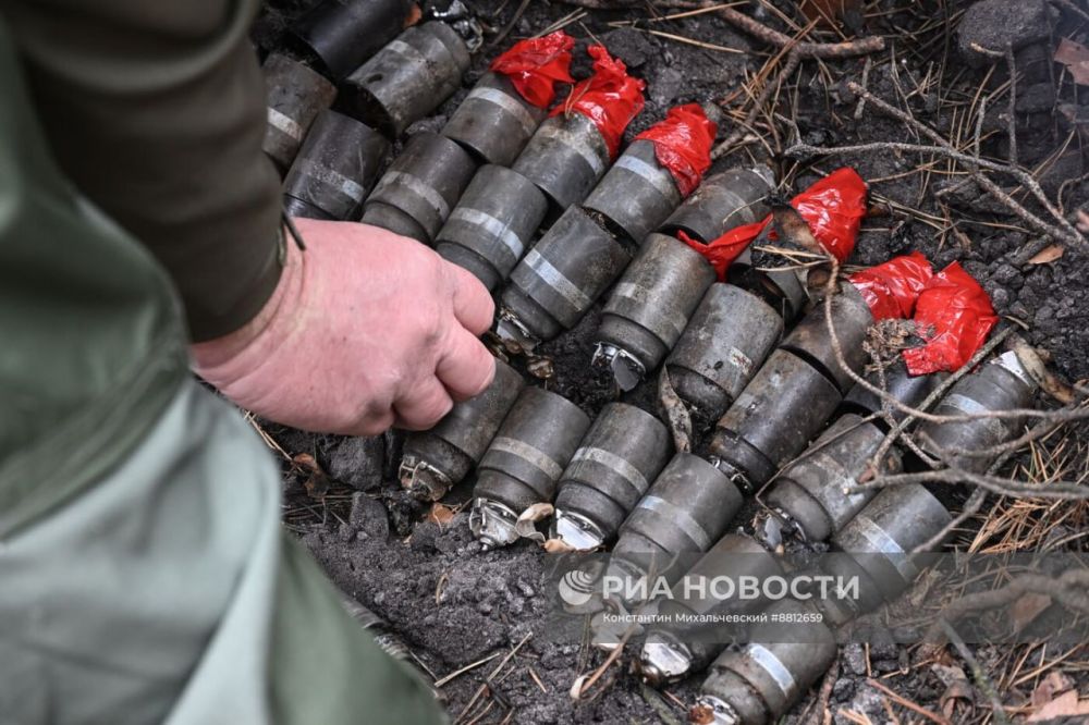 Сводный отряд разминирования МЧС России собирает и ликвидирует неразорвавшиеся кумулятивно-осколочные суббоеприпасы M77 DPICM от ракет M30 GMLRS ранней модификации, переданных из США на Украину