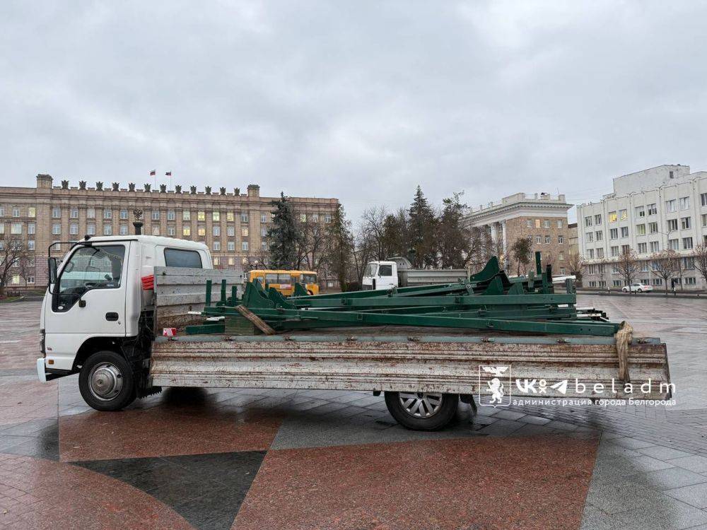 В Белгороде начали устанавливать новогоднюю ёлку