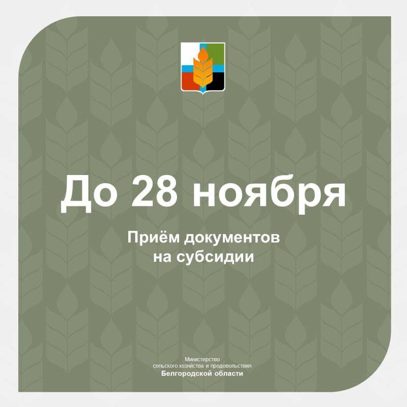 Министерство сельского хозяйства и продовольствия Белгородской области объявило старт приёма заявок на участие в отборе получателей субсидий по трём направлениям: