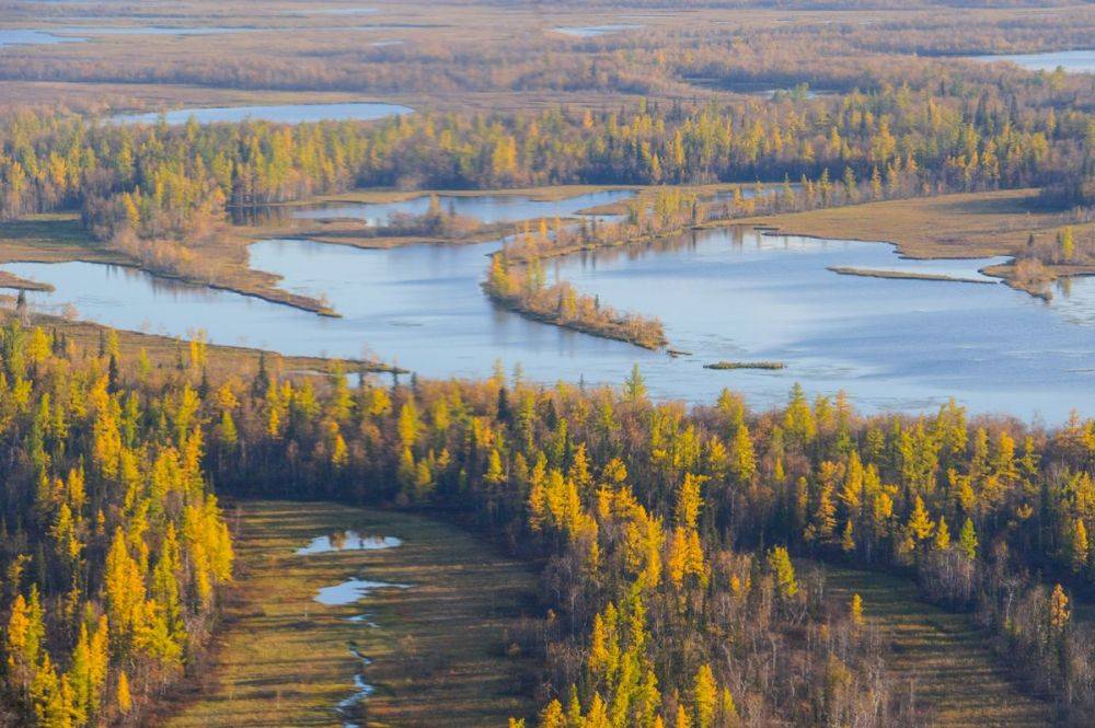 Ямальское городское ведомство сменило название