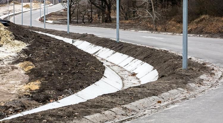 Белгородские власти не будут расширять «Олимпию», чтобы не вырубать 2 тысячи деревьев