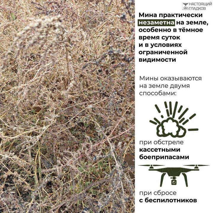 Гладков поделился карточками с информацией о минах, разбрасываемых ВСУ2