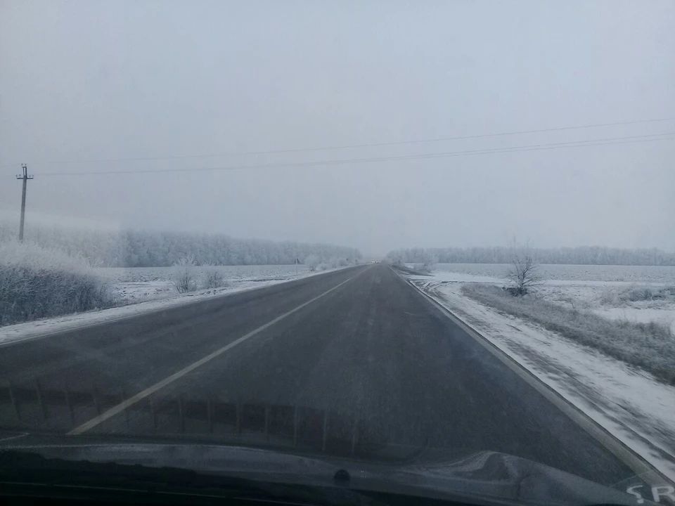 Мокрый снег с дождем ожидаются в Белгородской области 14 ноября0