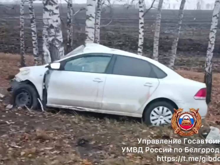 Под Шебекино молодая автоледи на иномарке влетела в дерево