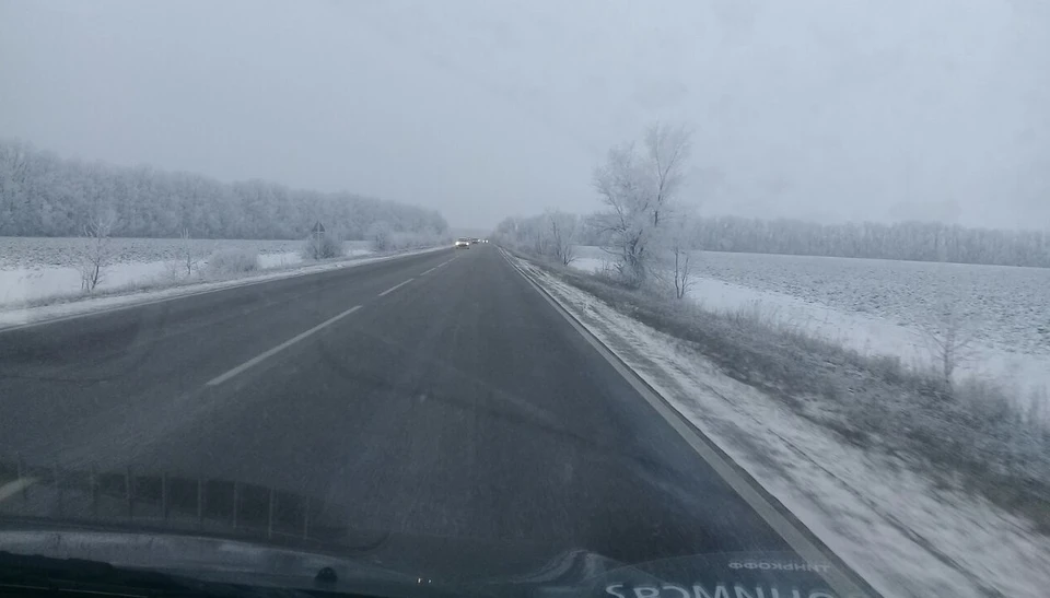 Сильный ветер и температурные качели ожидаются в Белгородской области 15 ноября0