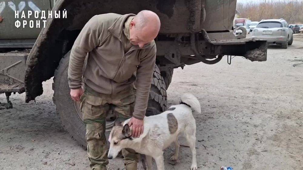 Боец с позывным &quot;Ёж&quot; воюет на СВО с четвероногой напарницей &quot;Розой&quot;