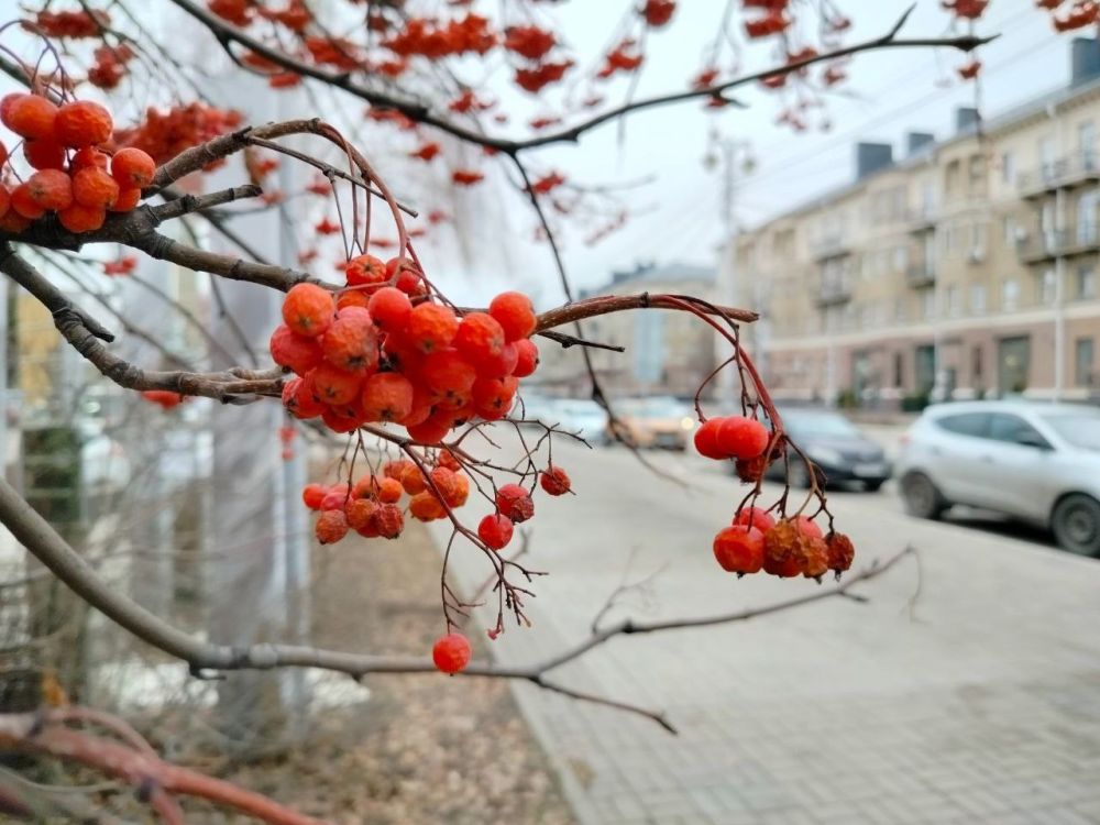 Сегодня, 29 декабря, синоптики прогнозируют облачную с прояснениями погоду