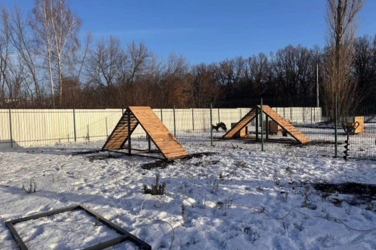 В белгородском приюте для животных обустраивают площадки для выгула собак0