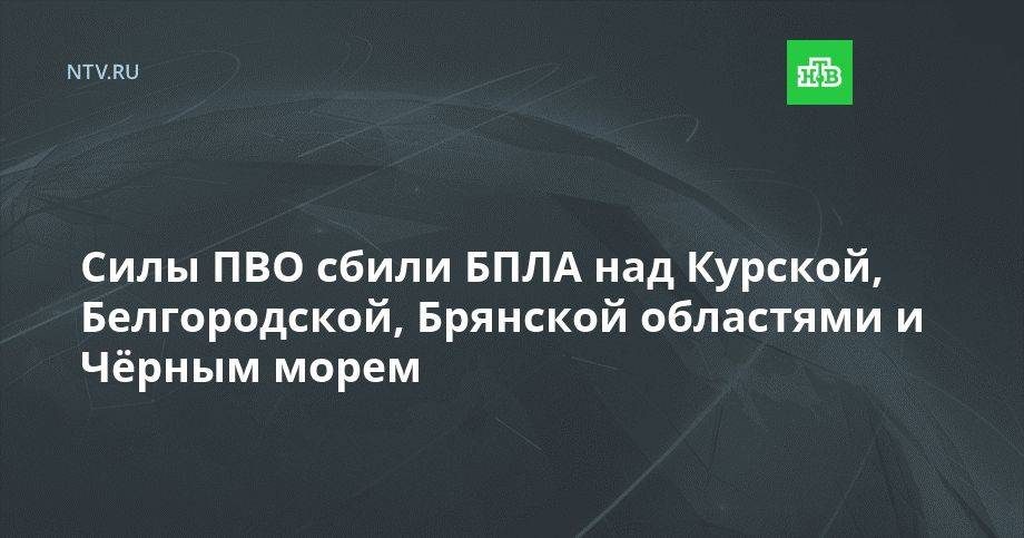 Силы ПВО сбили БПЛА над Курской, Белгородской, Брянской областями и Чёрным морем