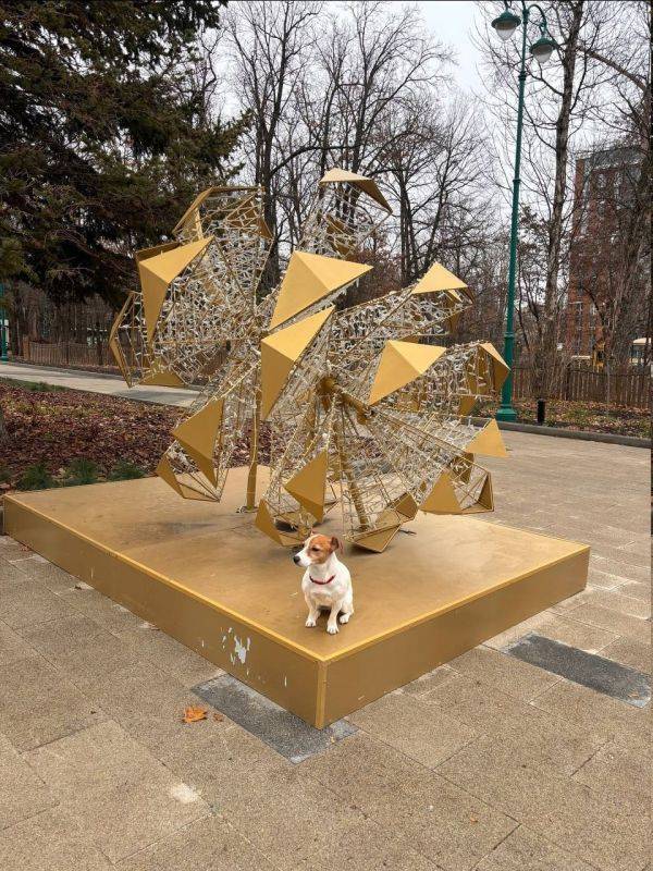 В Белгороде продолжают создавать праздничное настроение