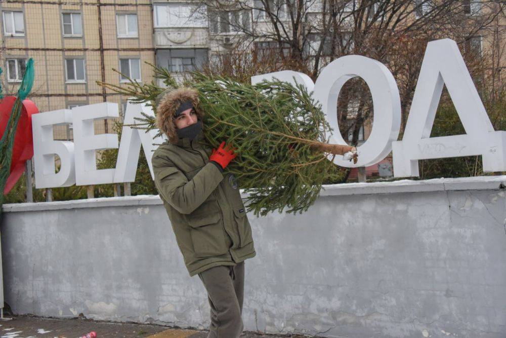 Доброе утро, Белгород!. На календаре 23 декабря. Началась предновогодняя неделя. Сегодня будет пасмурно, туманно и дождливо. Синоптики сообщают, что выпадет 3,1 мм осадков. Возможен небольшой снег. Температура воздуха 1-3...